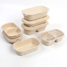 Hot sales  biodregrable lunch tray 500ml 700ml 800ml 1000ml